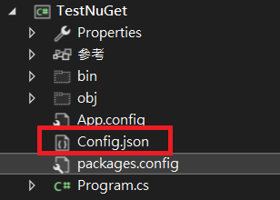 config json in project